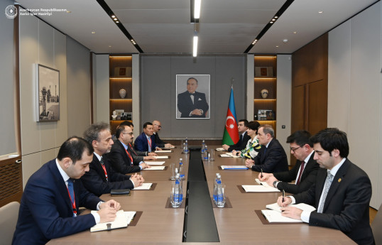 Azerbaijani FM receives Head of TURKPA Observation Mission
