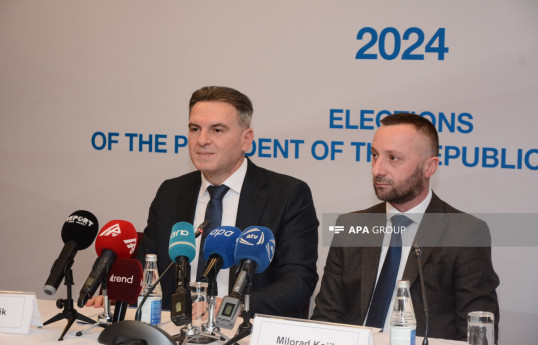 Azerbaijan held elections in democratic and fair environment - Bosnian MPs