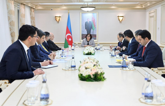 Speaker of Milli Majlis meets with delegations of Türkiye’s GNAT and TURKPA