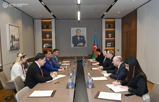 Azerbaijani FM meets with delegation of Brazilian Federal Senate