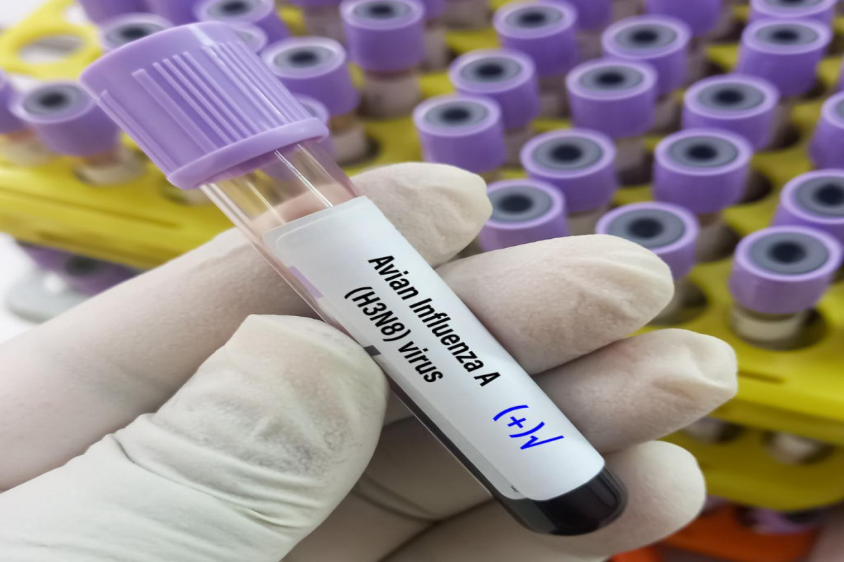 China records first human infection with avian influenza A(H10N5) virus — WHO