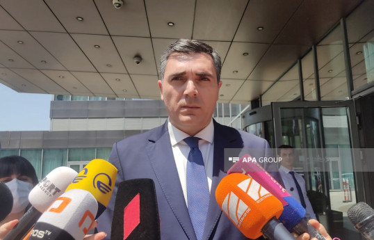 Georgian Foreign Minister Ilia Darchiashvili