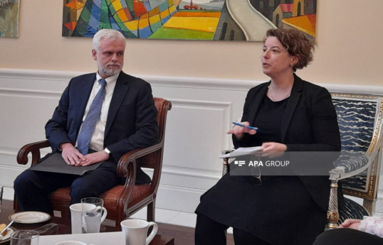 Supporting Ukraine is in Azerbaijan’s interest - US Ambassador