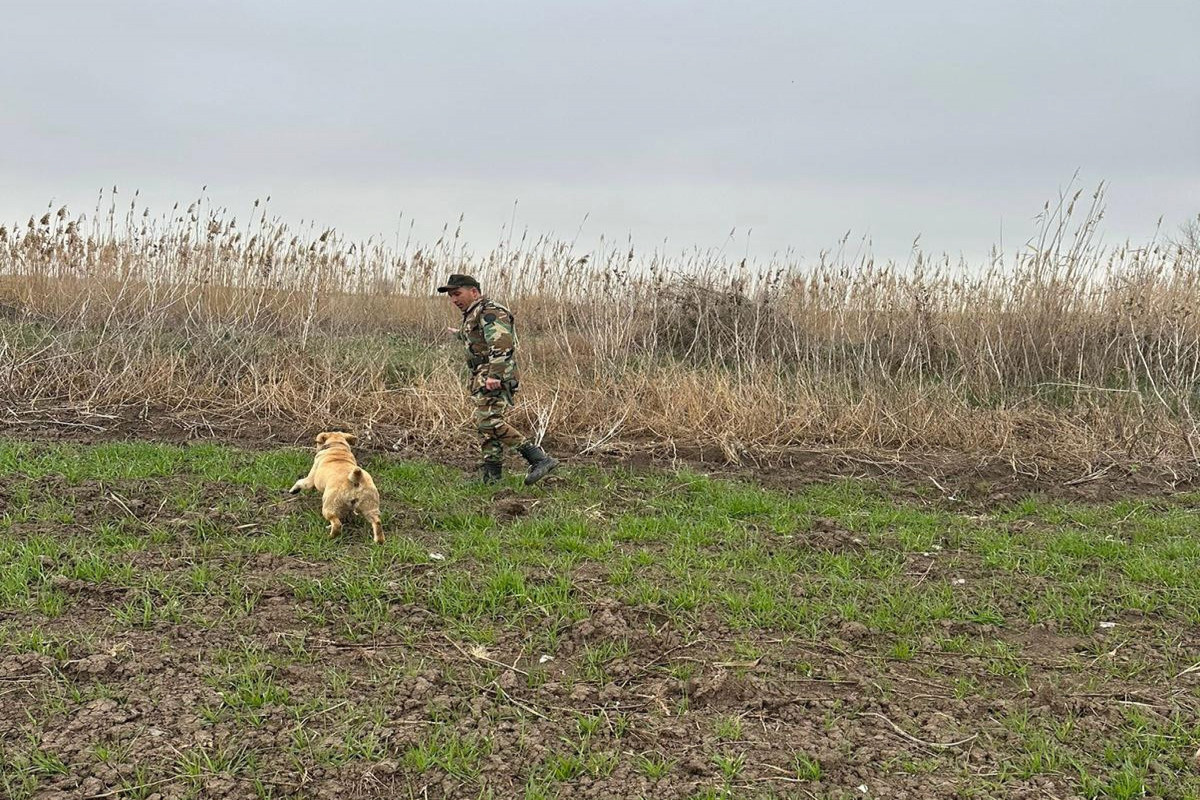 Azerbaijan MES involves 80 personnel, 14 equipments, and 2 trained dogs in the search for a child who allegedly drowned in a canal-VIDEO 