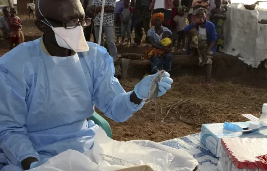 Death toll from Lassa fever rises to 14 in southern Nigeria