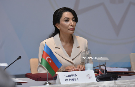 Sabina Aliyeva, Commissioner for Human Rights of the Republic of Azerbaijan (Ombudsman)