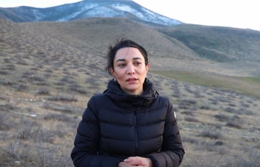 Sabina Aliyeva, Azerbaijan's Commissioner for Human Rights (Ombudsman)