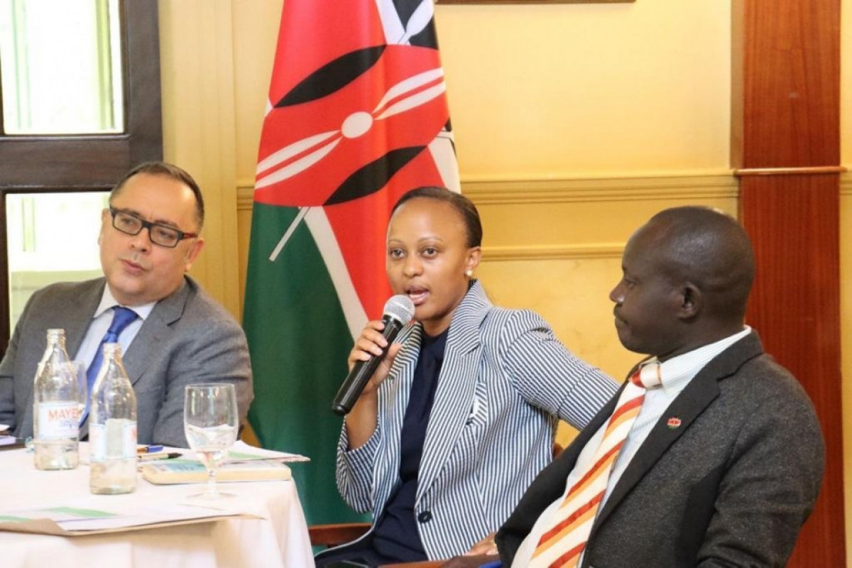 Youth Climate Champion for COP29 Azerbaijan meets with representatives of Kenyan youth organizations