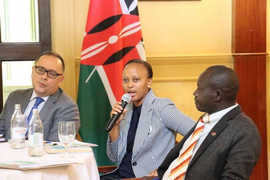 Youth Climate Champion for COP29 Azerbaijan meets with representatives of Kenyan youth organizations - Vimarsana News