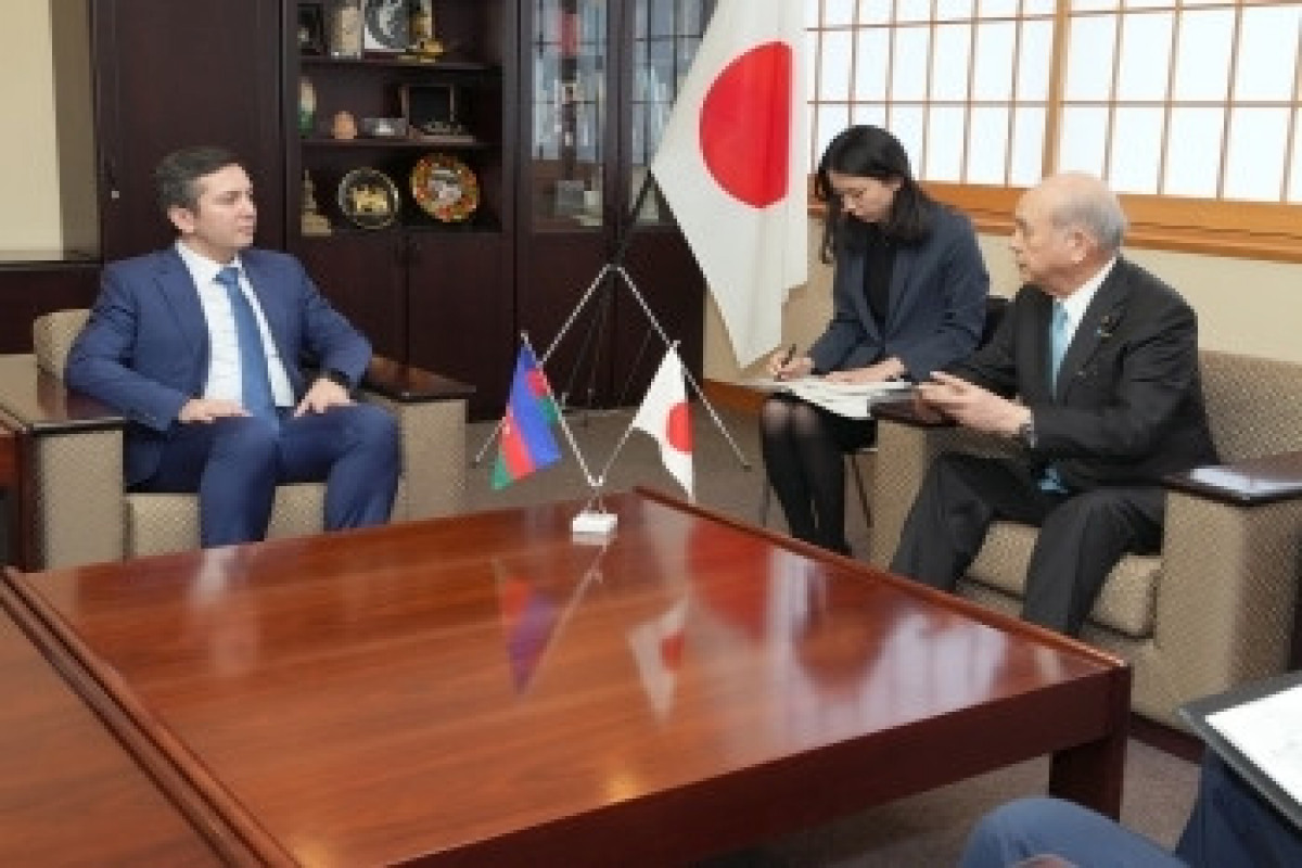 Japan welcomes Azerbaijan's hosting of COP29