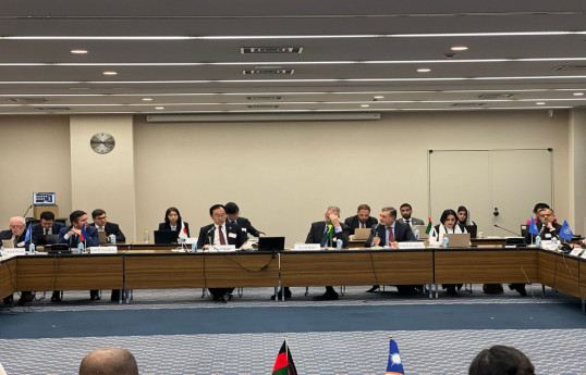 Azerbaijani Deputy FM delivered speech at meeting on climate change in Tokyo