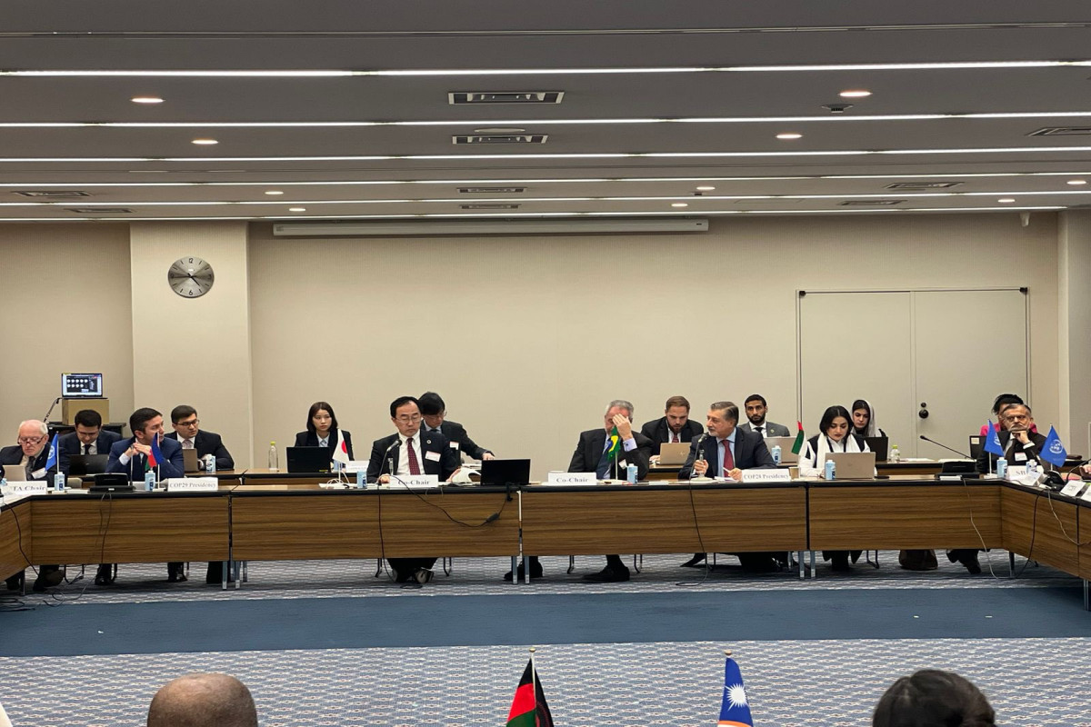 Azerbaijani Deputy FM delivered speech at meeting on climate change in Tokyo - Vimarsana News