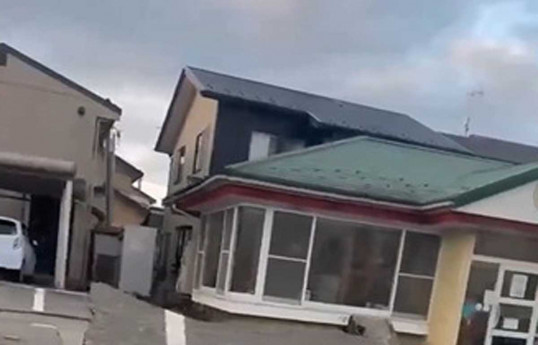 Death toll from Japanese quakes rises to 48, government officials say-UPDATED-3 