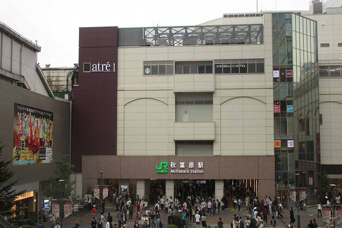 Japan police arrest a knife-wielding woman inside a train