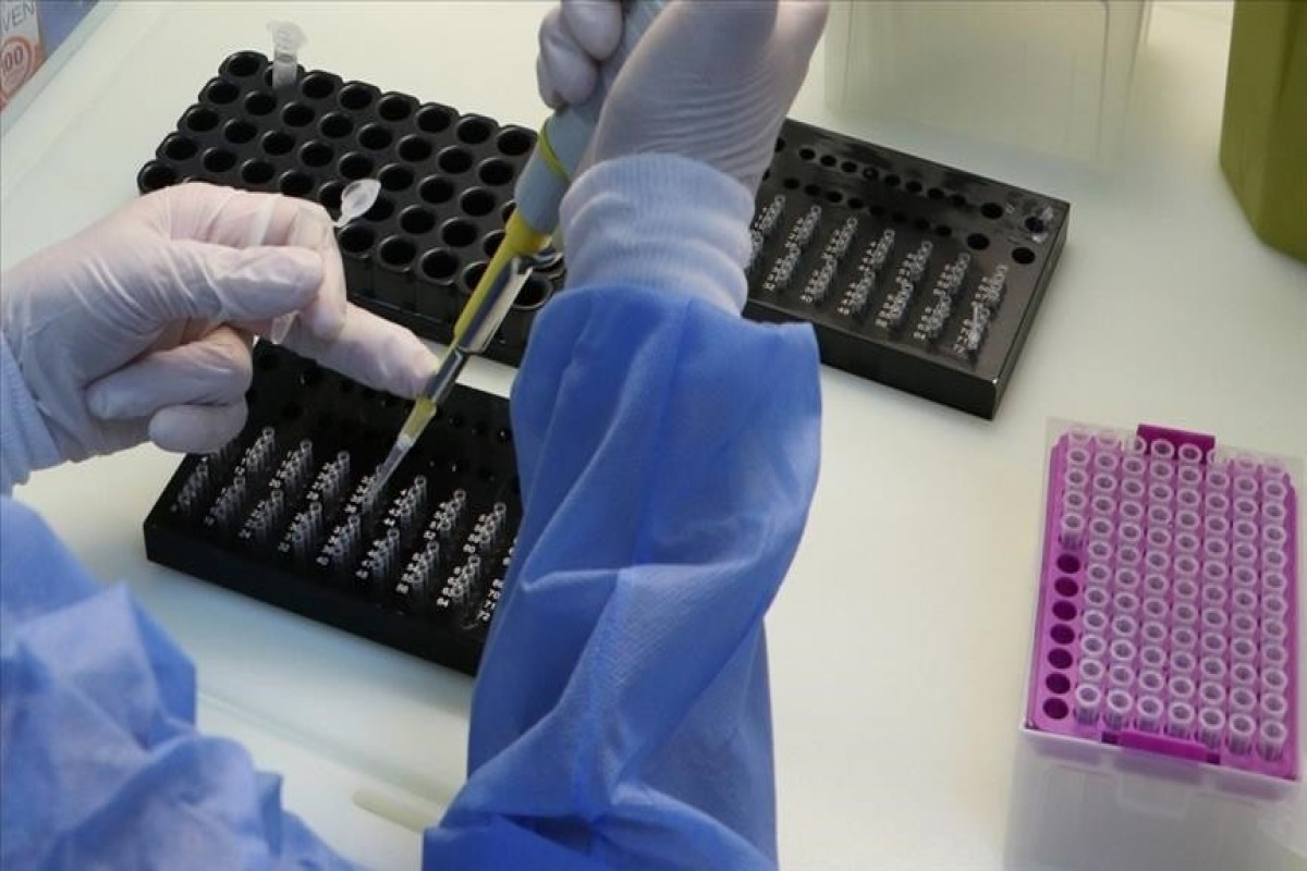 Uzbekistan develops edible COVID-19 vaccine made from tomato