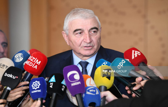 Mazahir Panahov, Chairman of the Central Election Commission (CEC) of Azerbaijan