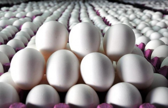 Azerbaijan exported 1.5 mln. eggs to Russia