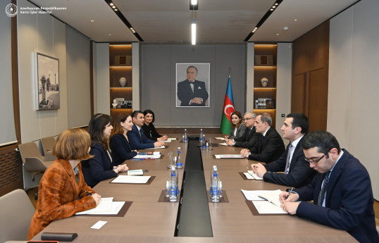 Azerbaijani FM informs UNICEF regional director about preparations for COP29