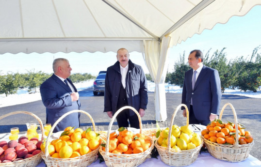 President Ilham Aliyev made trip to Lankaran, examined “Lenk Fruit” LLC's citrus orchard conditions-UPDATED 