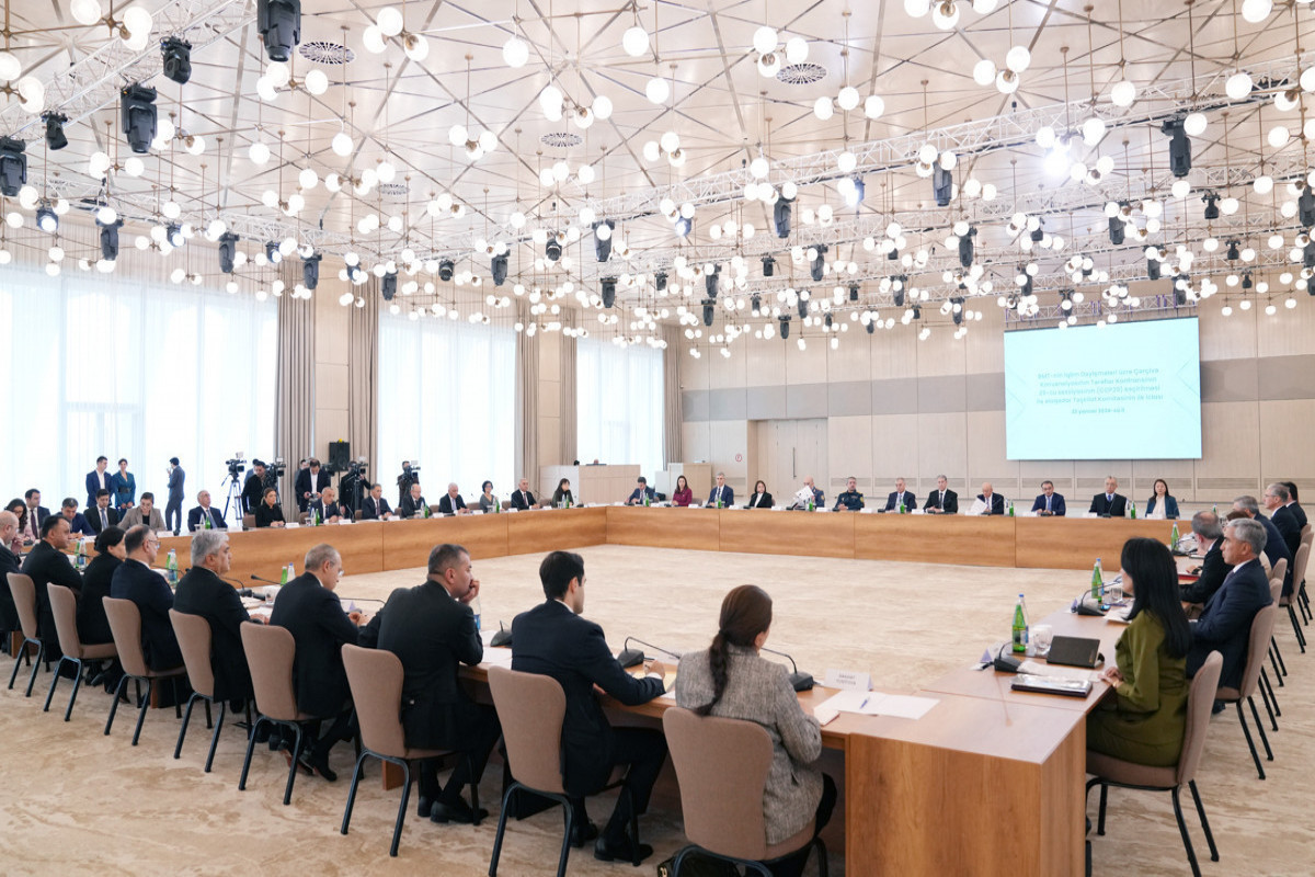 COP29 Organizing Committee holds first meeting