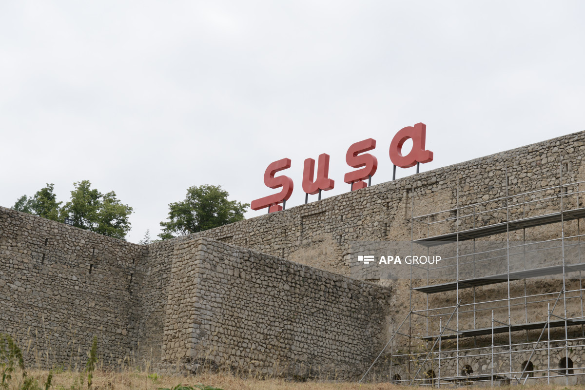 Azerbaijan to establish "Shusha network" of Islamic countries