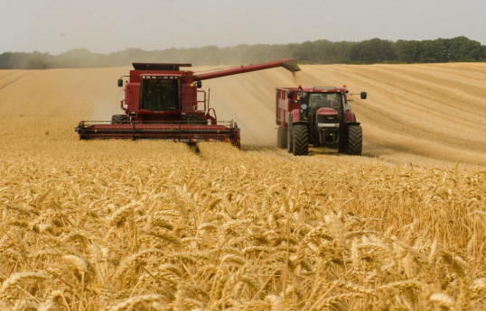 Russia harvested 147 mln metric tons of grain in 2023 — Agriculture Ministry