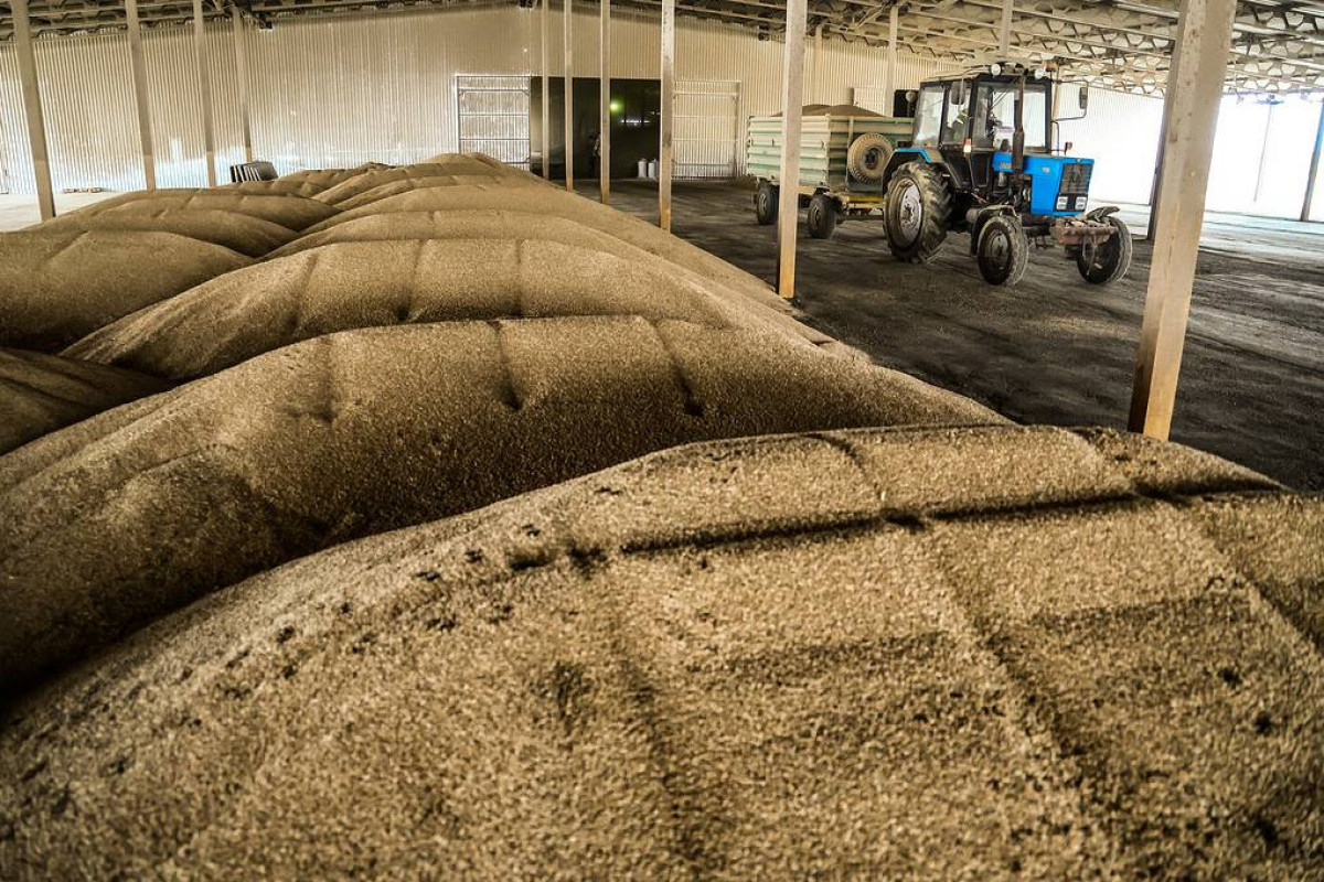 US bars Russia from International Grains Council meeting — Russian embassy