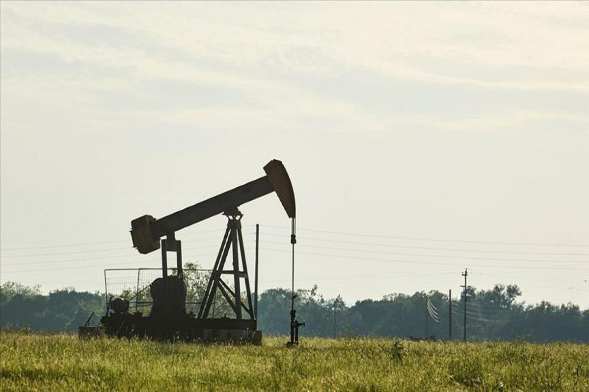 Brent oil price surpasses $83 per barrel, first time since November 30, 2023