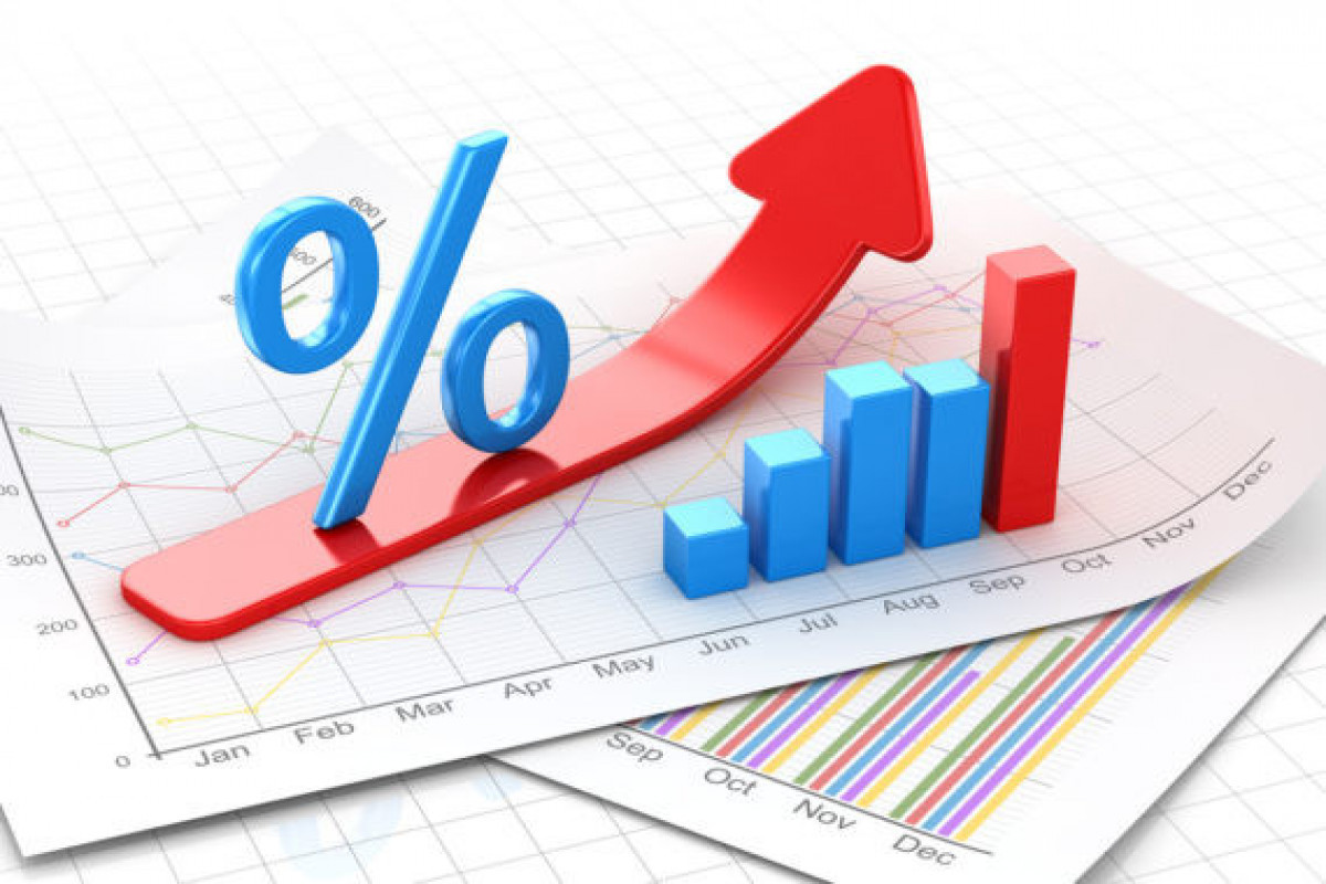 Economic growth in Azerbaijan will be 3.5% this year- CBA Governor