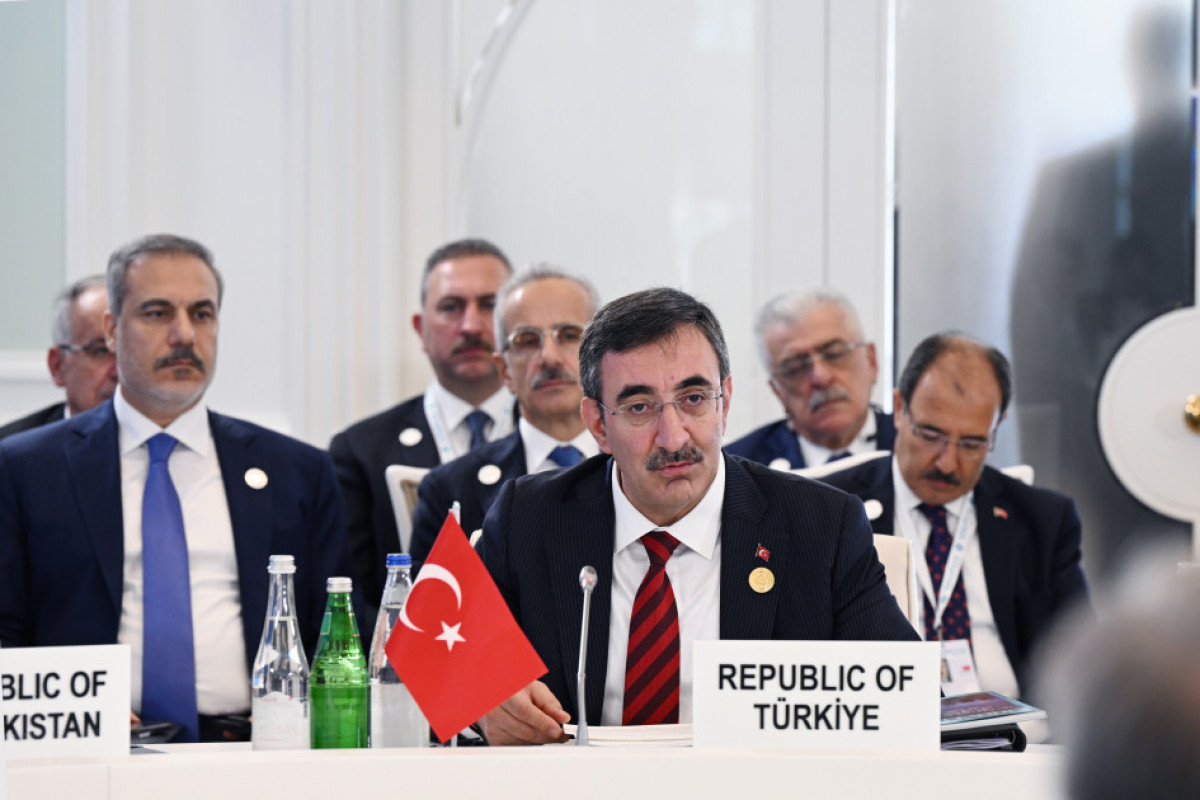 Cevdet Yılmaz, Vice President of the Republic of Türkiye