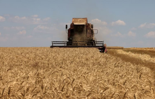 No real communications to resume grain deal — Russian Foreign Ministry