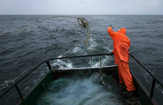 Russia to suspend fisheries cooperation with Japan in Kuril Islands area from July 15