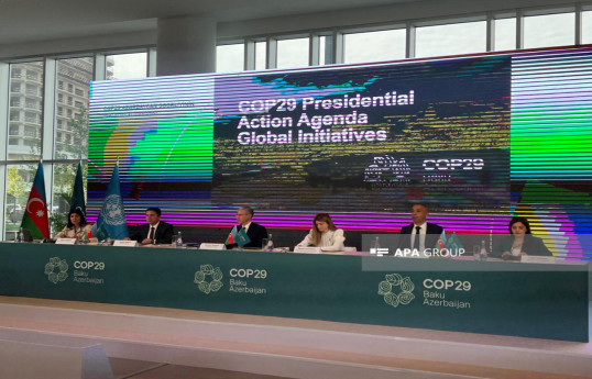 Steps to be taken to raise $1 billion in investment for Climate Finance Fund within COP29