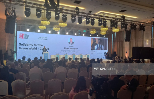 Outcomes of COP29 to be reflected in the final document, COP29 Azerbaijan Chief Executive Officer says