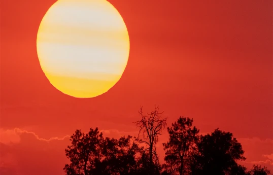 World recorded hottest day on July 21, monitor says