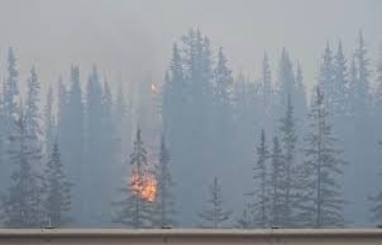 Devastating wildfire burns down part of western Canadian tourist town