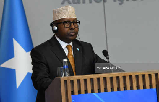 Ahmed Moallim Fiqi, Minister of Foreign Affairs and International Cooperation of the Federal Republic of Somalia