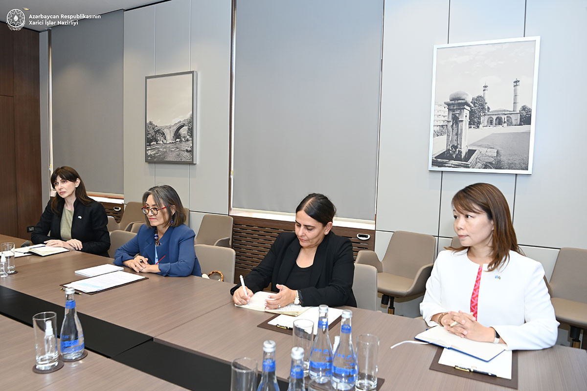 Azerbaijan's FM meets with UN DCO Regional Director for Europe and Central Asia