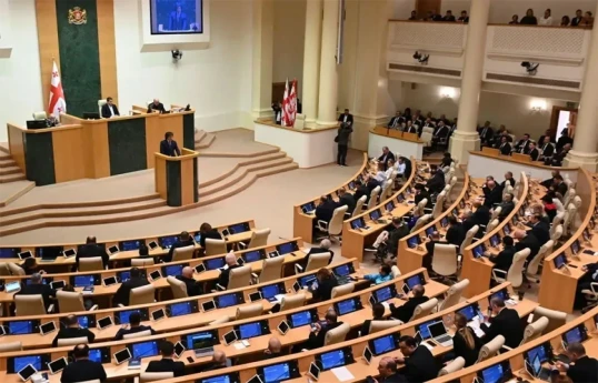 Georgian opposition challenges 'foreign agent' law