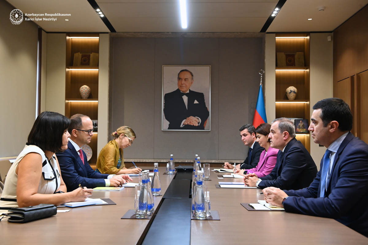 Azerbaijani FM received head of the OSCE/ODIHR Monitoring Mission