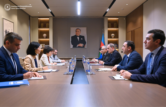 Azerbaijani FM meets with head of OSCE/ODIHR election observation mission