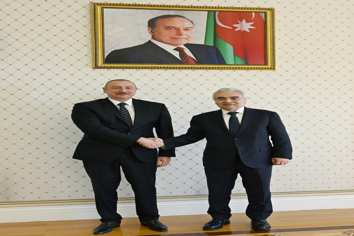 The President of Republic of Azerbaijan Ilham Aliyeh has received Fatih Birol, Executive director of the International Energy Agency