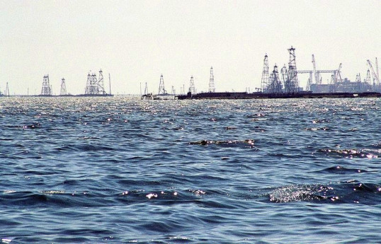 ANAS: It's impossible to maintain level of Caspian Sea, adaptation is only necessary approach
