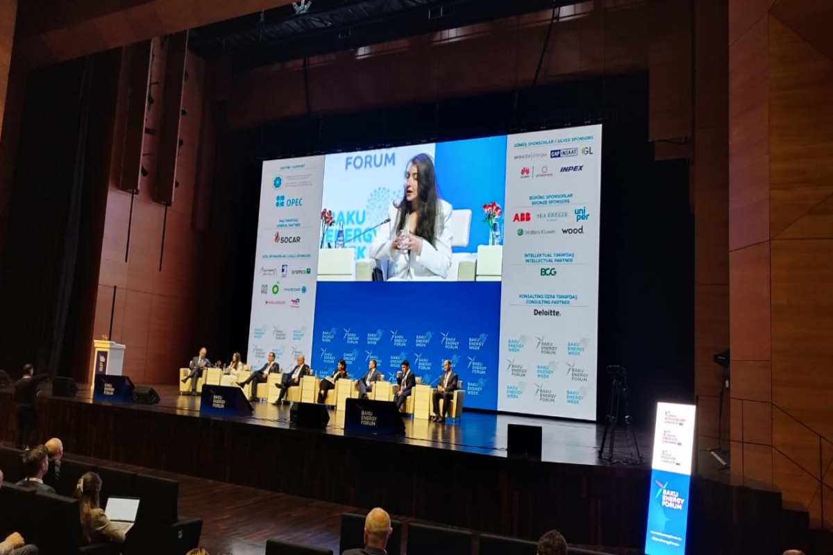 SOCAR: Natural gas should be considered as a transitional fuel