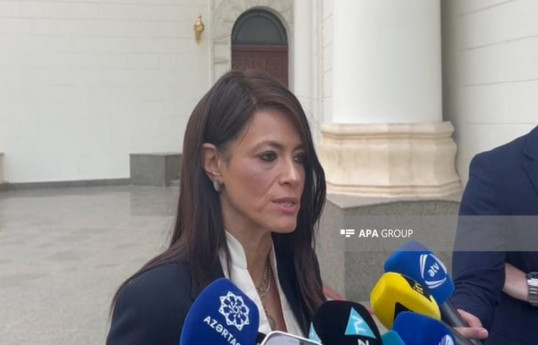 Rania El-Mashat, Egypt’s acting Minister of International Cooperation