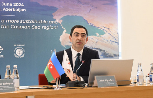 Director general of Port of Baku Taleh Ziyadov