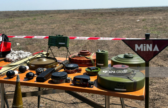 Azerbaijan's ANAMA finds 135 landmines, 615 UXOs in liberated territories