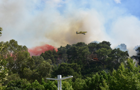Türkiye bans entry to forests in 27 provinces amid fire risk