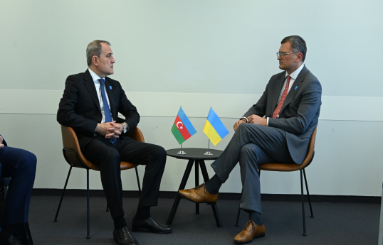 Azerbaijani FM meets with Ukrainian counterpart