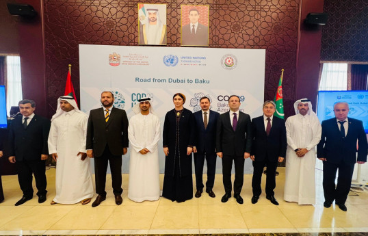 Turkmenistan hosts event entitled "Road from Dubai to Baku – Pre-COP29"